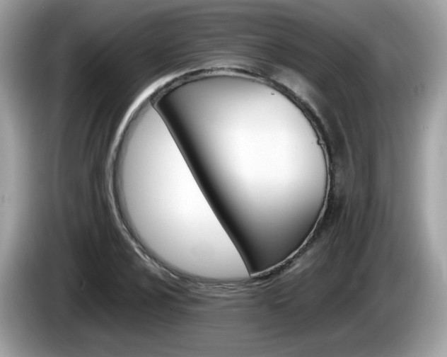 X0000086241024200703291001