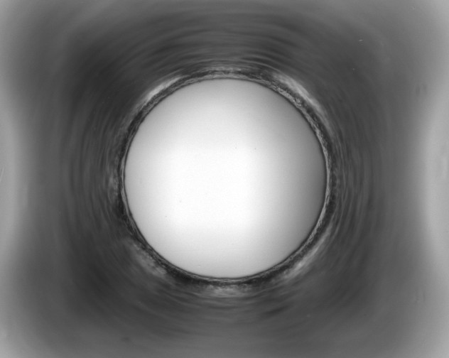 X0000086241025200703291001