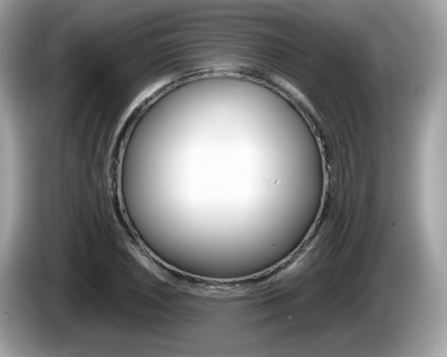 X0000086241026200703291001