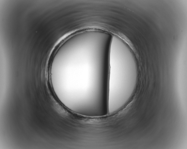 X0000086241028200703291001