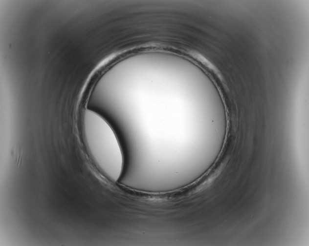 X0000086241029200703291001
