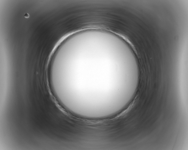X0000086241030200703291001