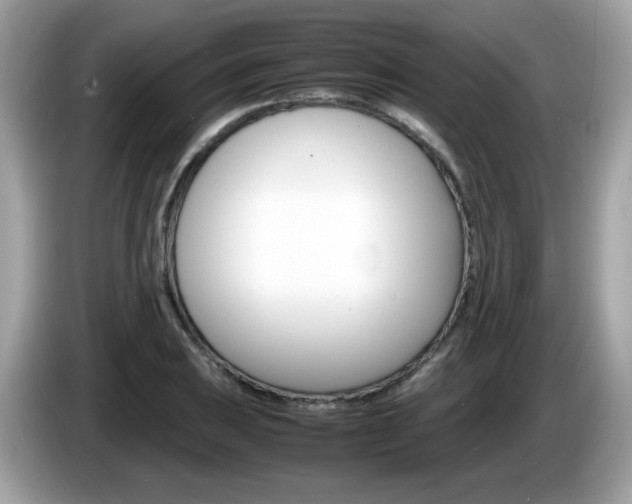 X0000086241031200703291001