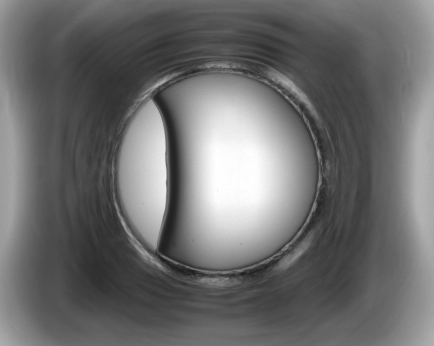 X0000086241033200703291001