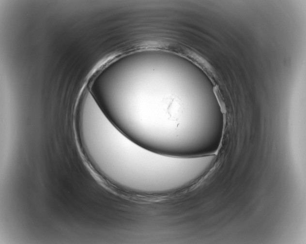 X0000086241034200703291001