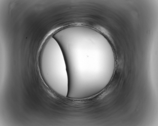 X0000086241035200703291001