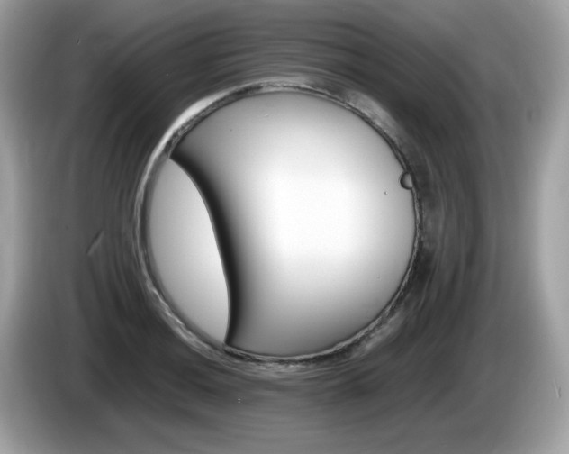 X0000086241036200703291001