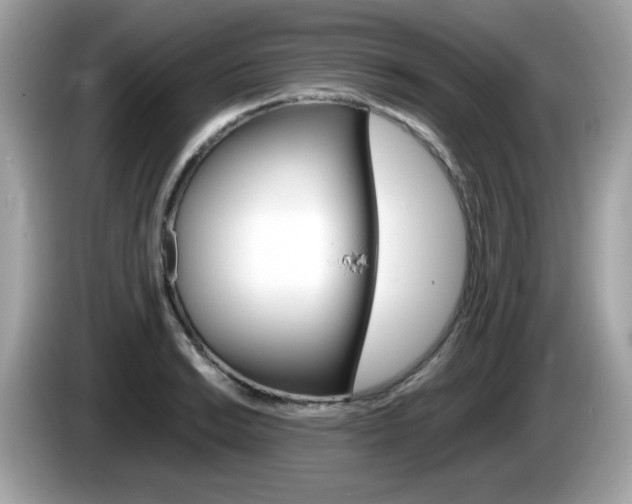 X0000086241038200703291001