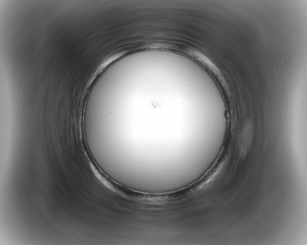 X0000086241041200703291001