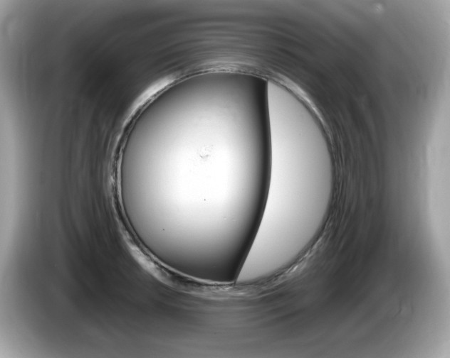 X0000086241042200703291001