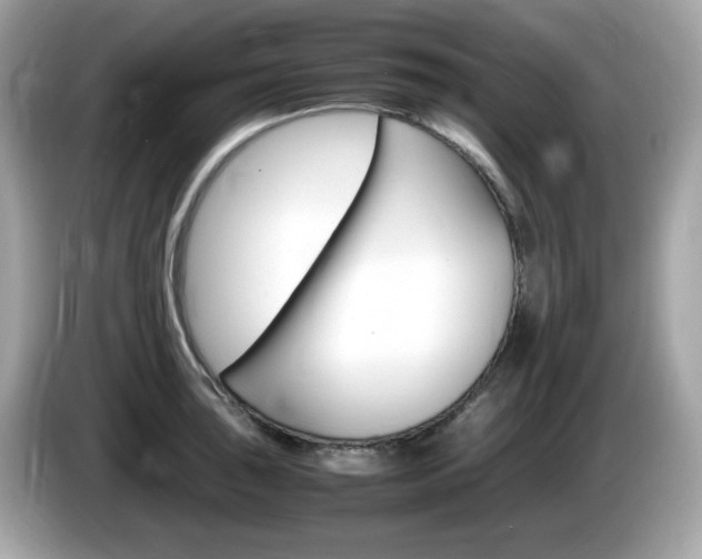 X0000086241043200703291001
