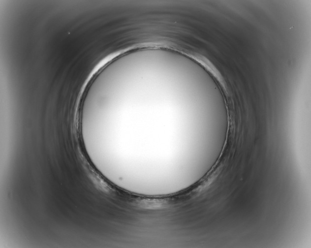 X0000086241044200703291001