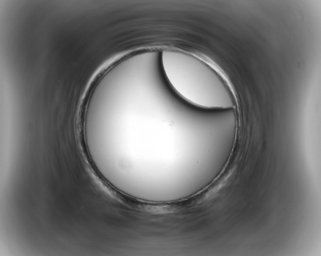 X0000086241045200703291001