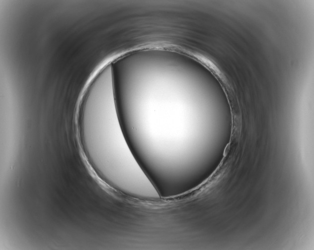 X0000086241046200703291001