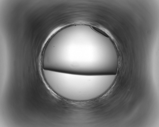 X0000086241048200703291001