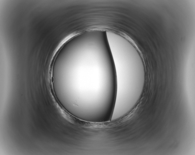 X0000086241050200703291001