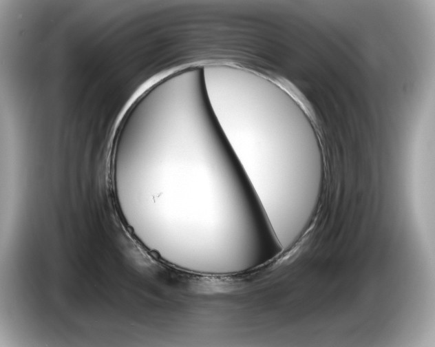X0000086241052200703291001