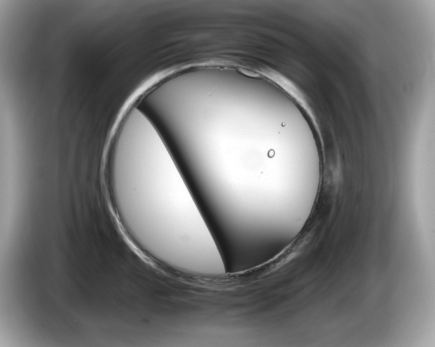 X0000086241053200703291001