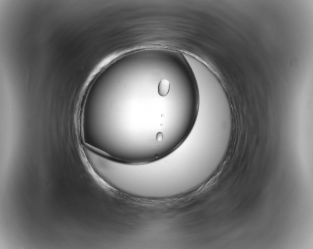 X0000086241054200703291001