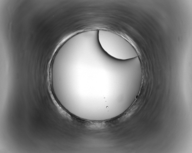 X0000086241055200703291001