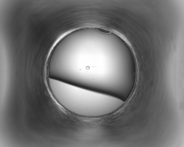 X0000086241056200703291001
