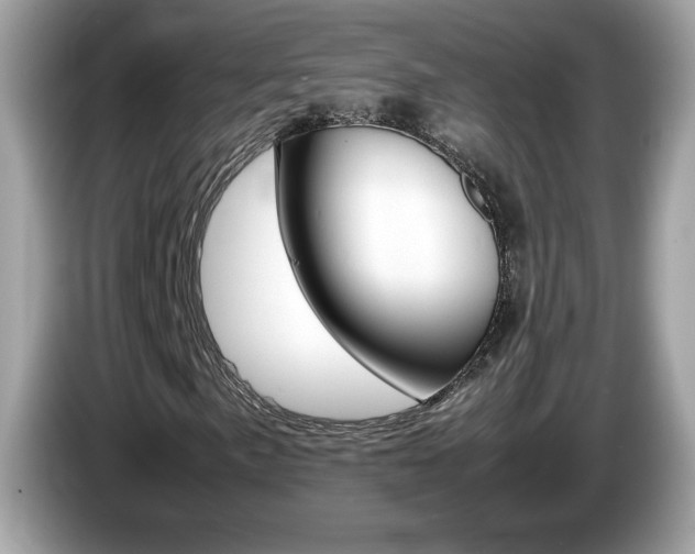X0000086241057200703291000