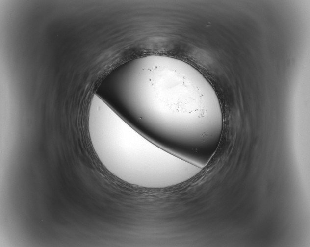 X0000086241058200703291000