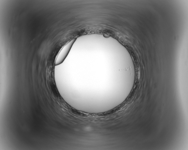 X0000086241059200703291000