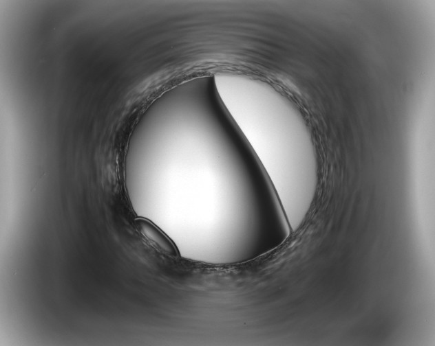 X0000086241062200703291000