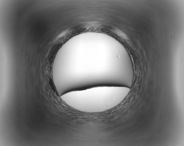 X0000086241063200703291000