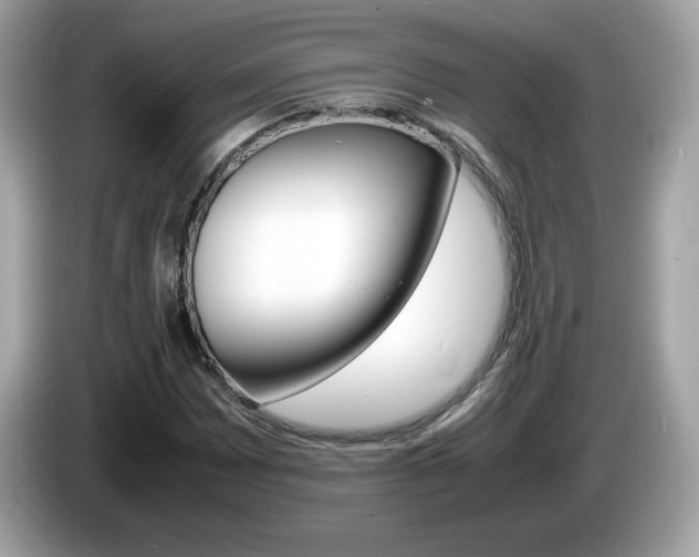 X0000086241065200703291000