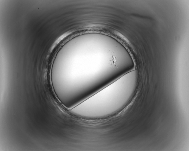 X0000086241066200703291000