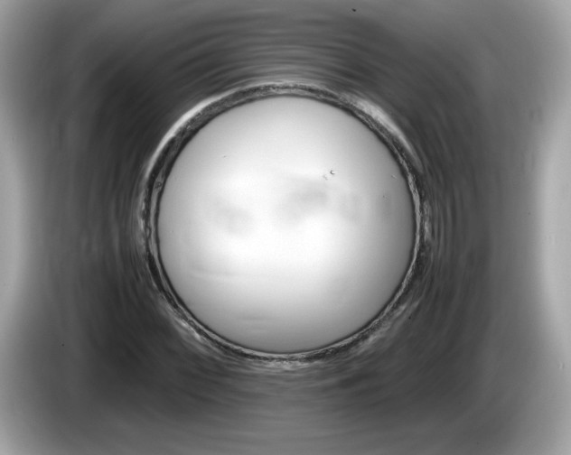 X0000086241068200703291000