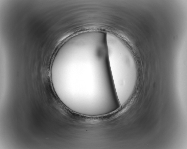 X0000086241073200703291000