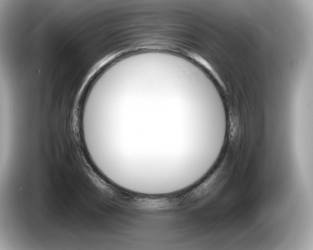 X0000086241074200703291000