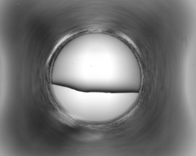 X0000086241075200703291000