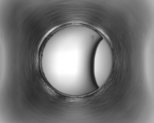 X0000086241076200703291000