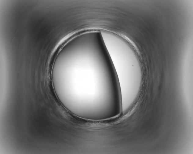 X0000086241077200703291000