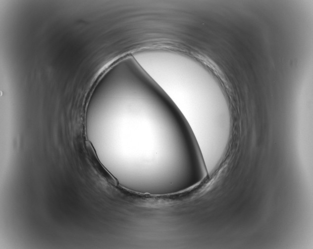 X0000086241081200703291000