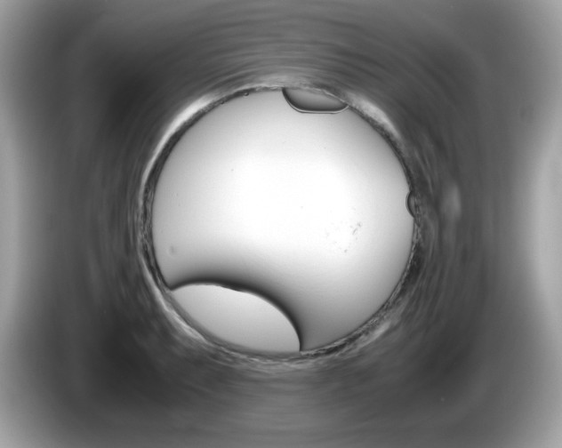 X0000086241087200703291000