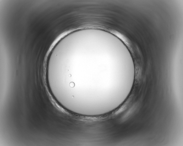 X0000086241094200703291000