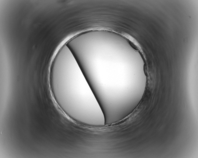 X0000086241096200703291000