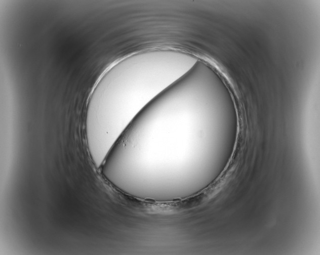 X0000086241097200703291000