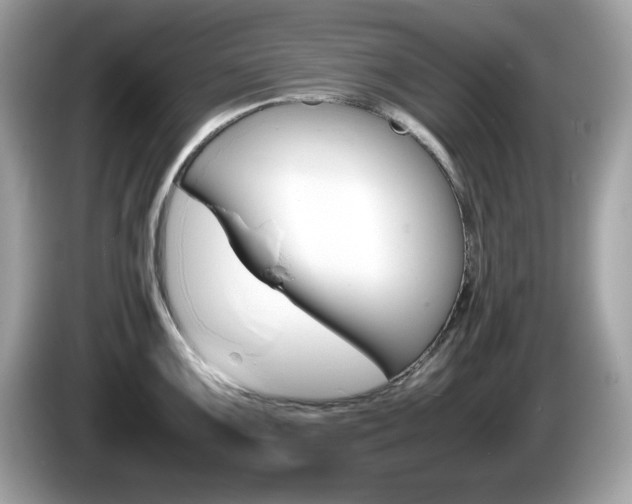 X0000086241099200703291000