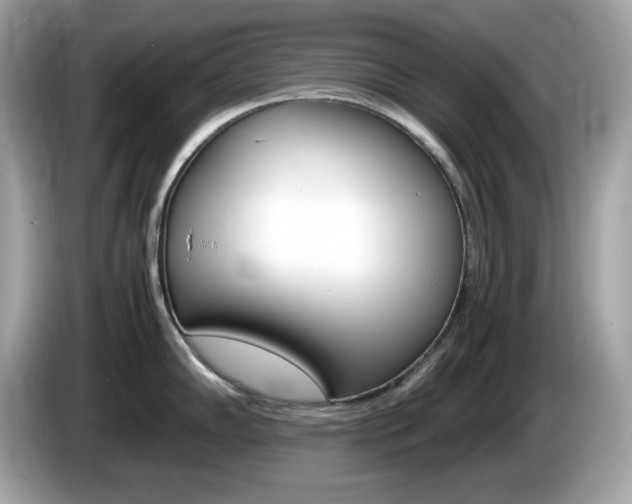 X0000086241102200703291000