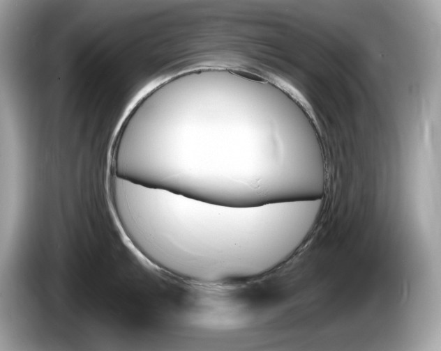X0000086241103200703291000