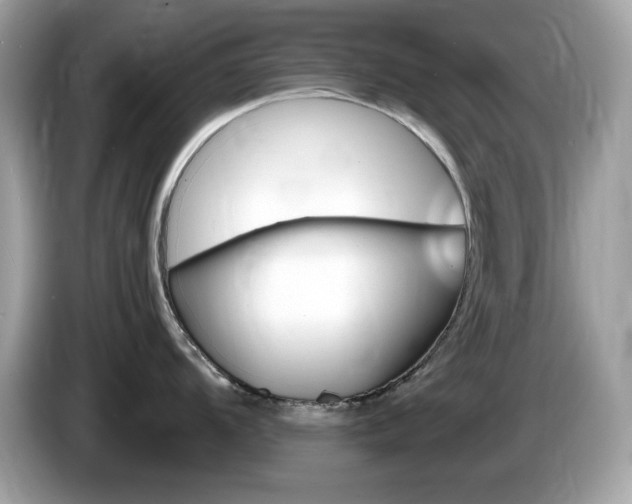 X0000086241104200703291000