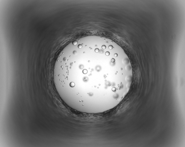 X0000086241105200703290959