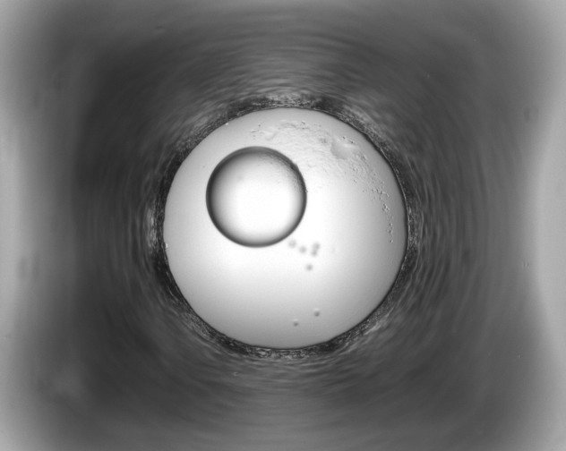 X0000086241106200703290959
