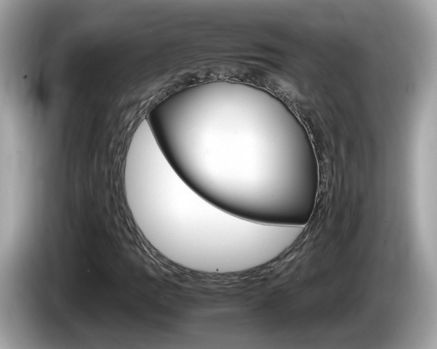 X0000086241109200703290959